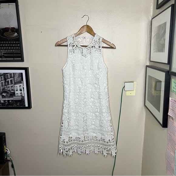 Francesca's White Lace Sheath Dress S Eyelet Floral Feminine Sleeveless Delicate - Picture 2 of 9
